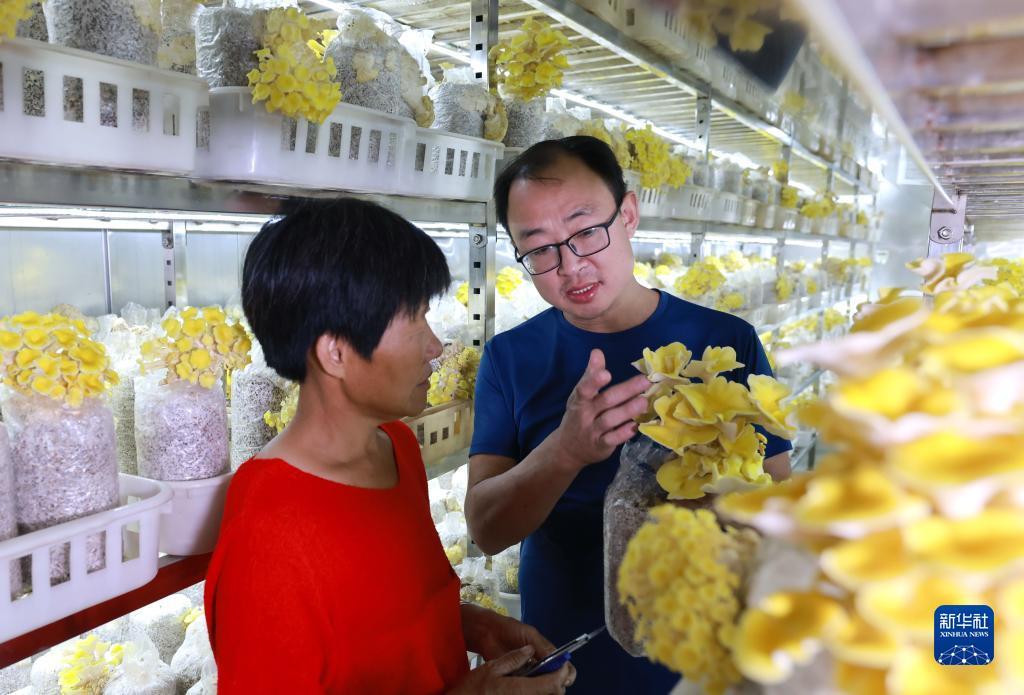 爱博网址是什么